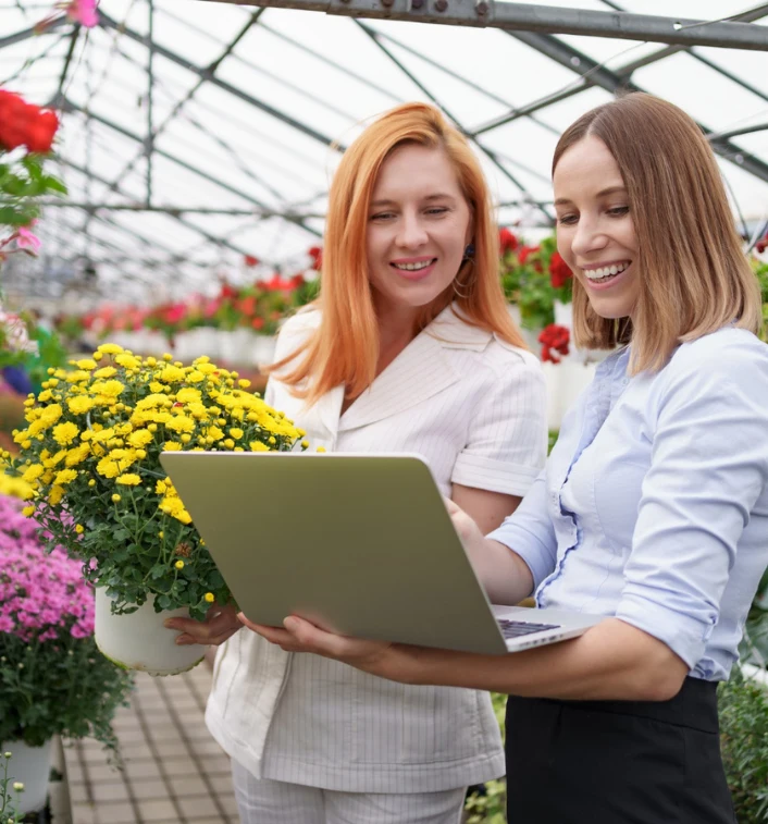 Consultoria de Paisagismo Online em Ribeirão Preto - SP